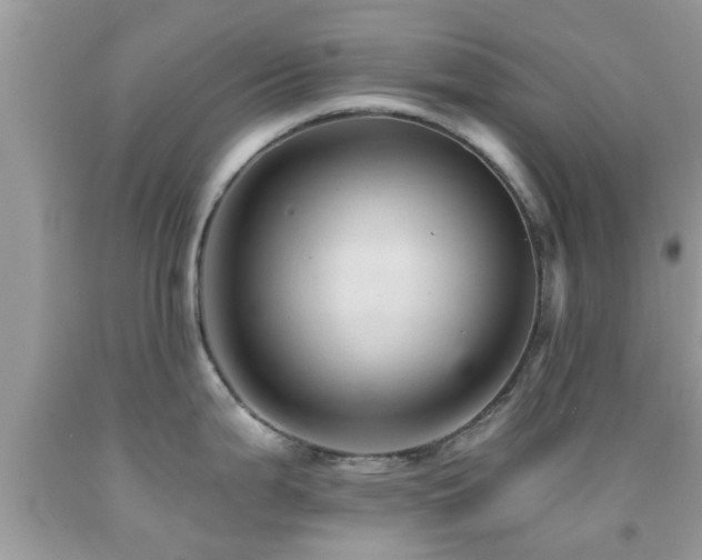 X0000092031199200709061608