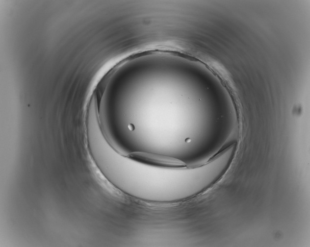 X0000092031200200709061608