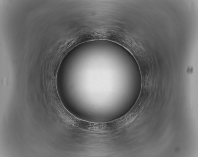 X0000092031201200709061607