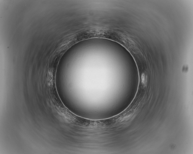 X0000092031203200709061607