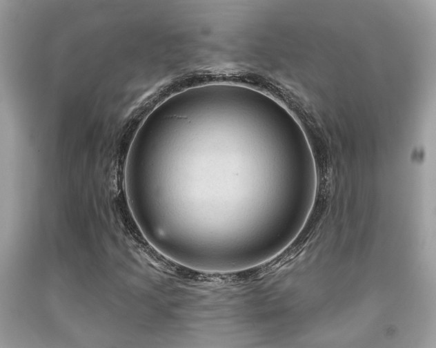 X0000092031205200709061607