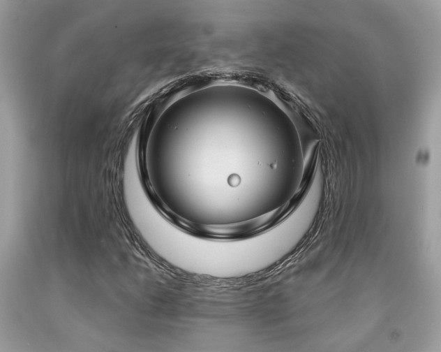 X0000092031206200709061607