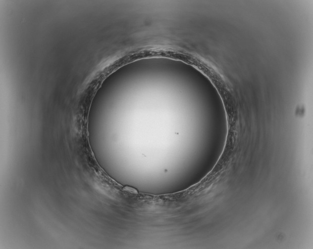 X0000092031207200709061607