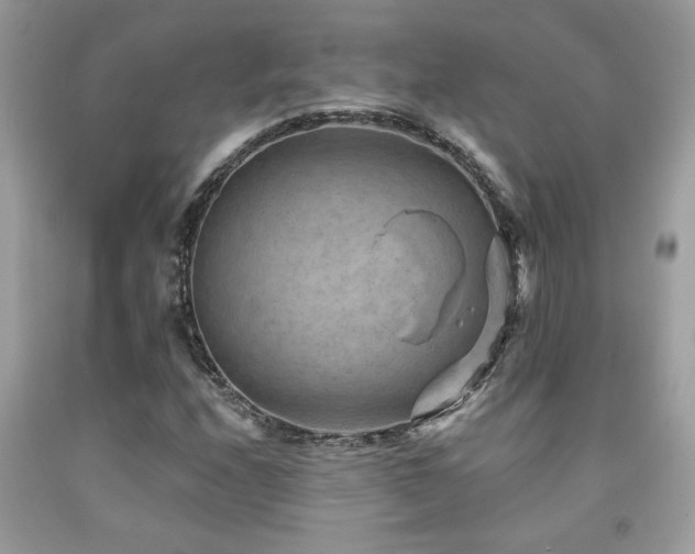 X0000092031208200709061607