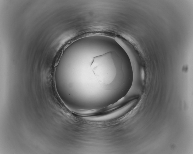 X0000092031210200709061607