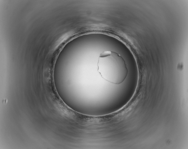 X0000092031211200709061607