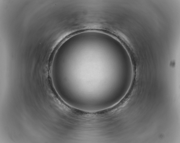 X0000092031212200709061607