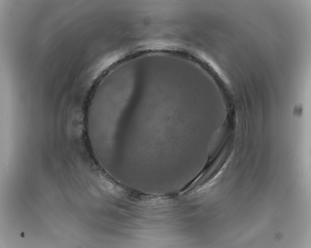 X0000092031213200709061607
