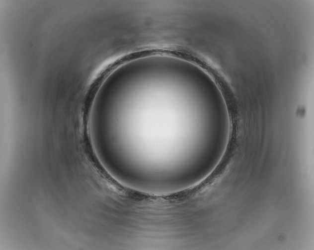 X0000092031214200709061607