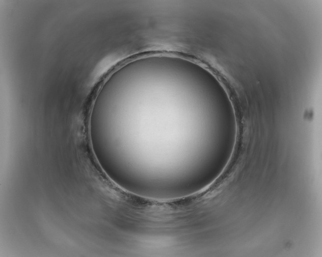 X0000092031215200709061607