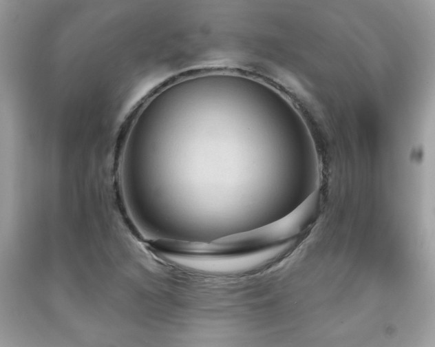 X0000092031216200709061607