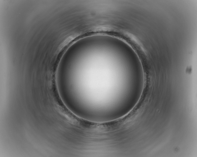 X0000092031217200709061607