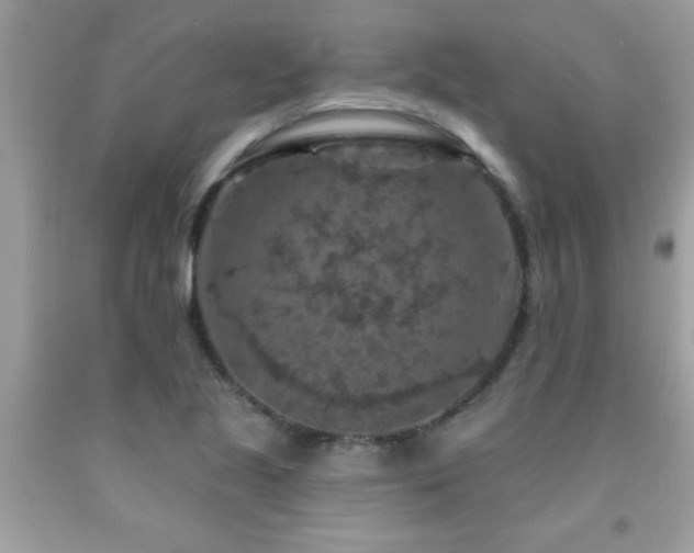 X0000092031221200709061607