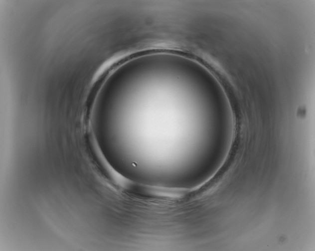 X0000092031222200709061607
