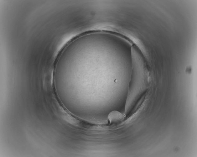 X0000092031224200709061607