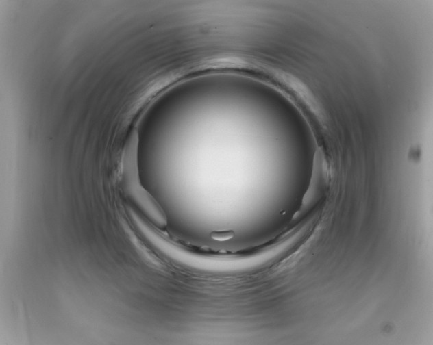 X0000092031225200709061607