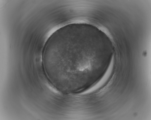 X0000092031226200709061607