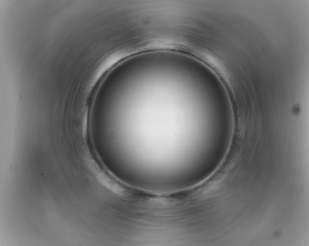 X0000092031227200709061608