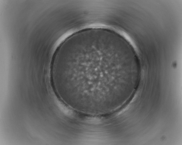 X0000092031229200709061608