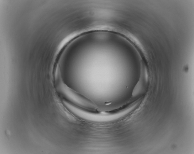 X0000092031230200709061608