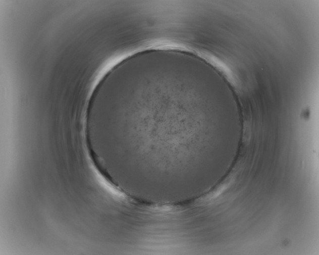 X0000092031231200709061608