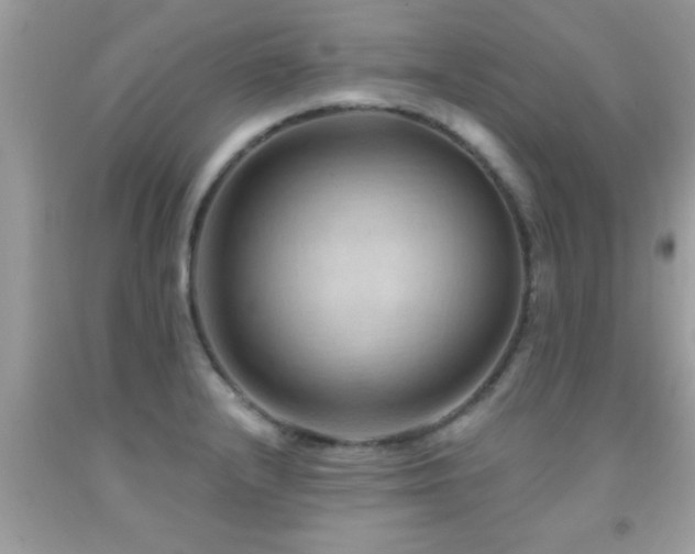 X0000092031232200709061608