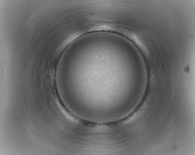 X0000092031233200709061608