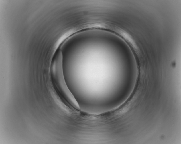 X0000092031234200709061608