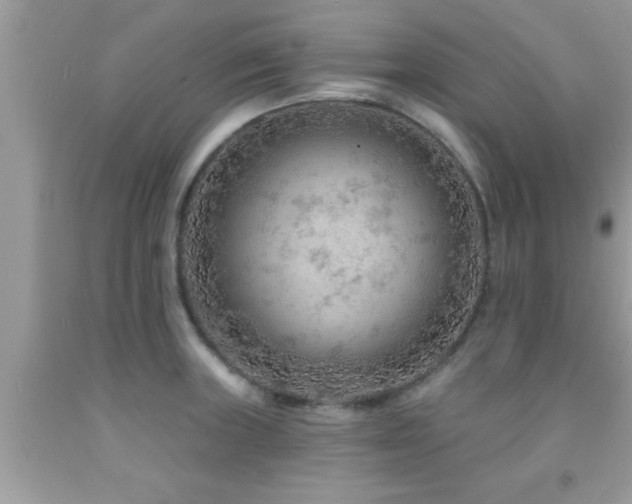 X0000092031235200709061608