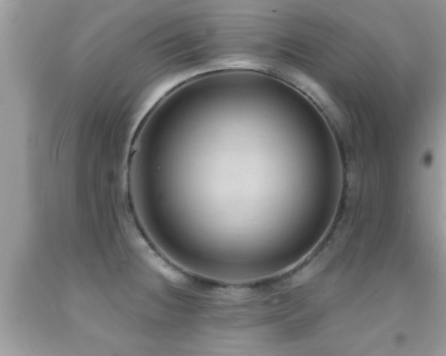 X0000092031236200709061608