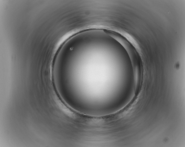 X0000092031238200709061608