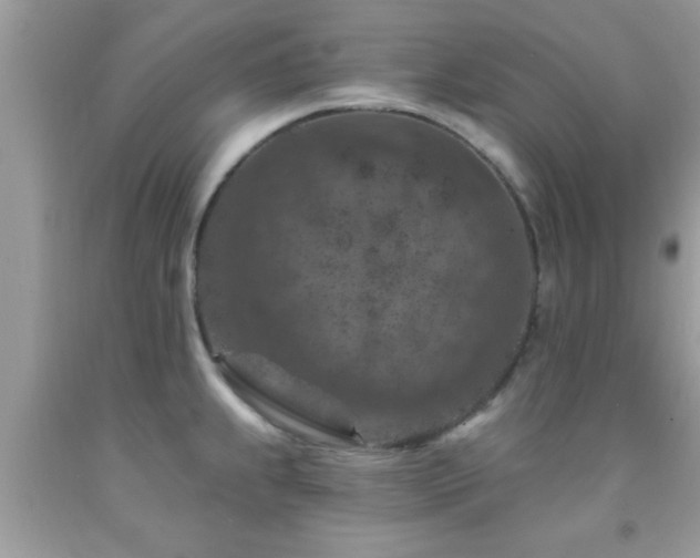 X0000092031239200709061608