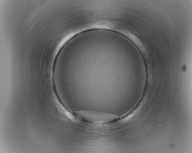 X0000092031240200709061608