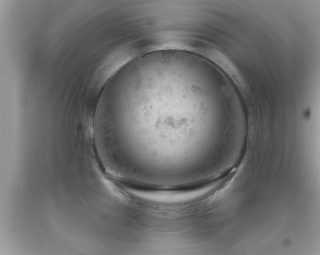X0000092031241200709061608