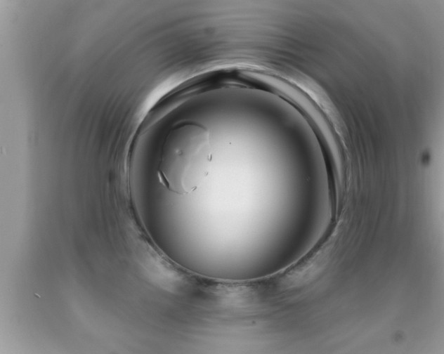X0000092031242200709061608