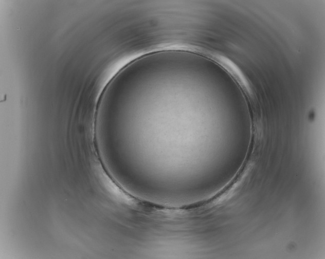 X0000092031244200709061608