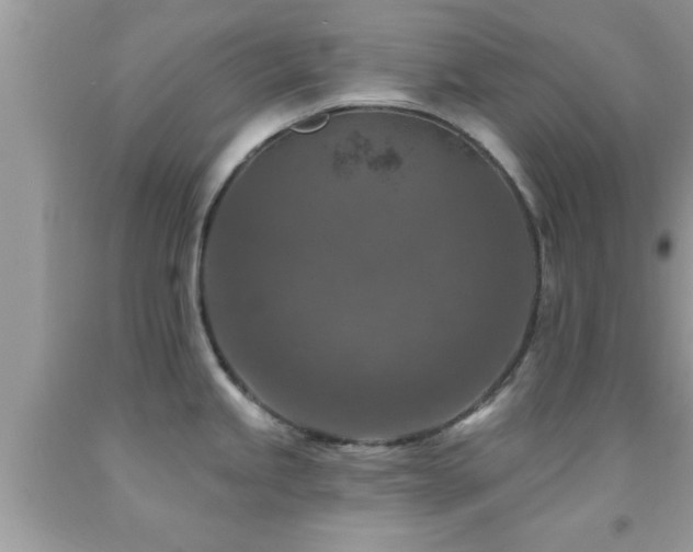 X0000092031245200709061608