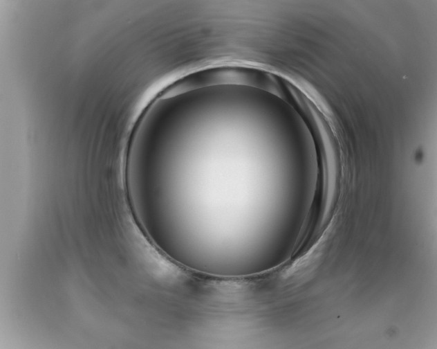 X0000092031246200709061608
