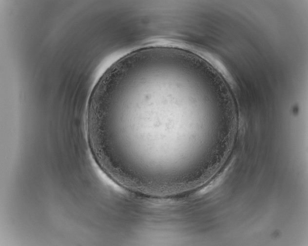 X0000092031247200709061608