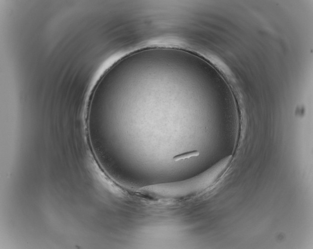 X0000092031248200709061608