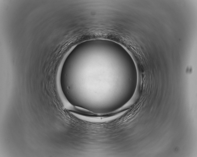 X0000092031249200709061607