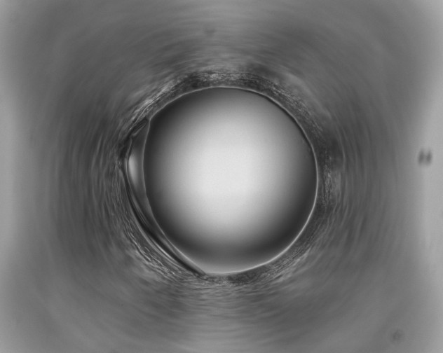 X0000092031250200709061607