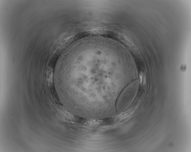 X0000092031251200709061607