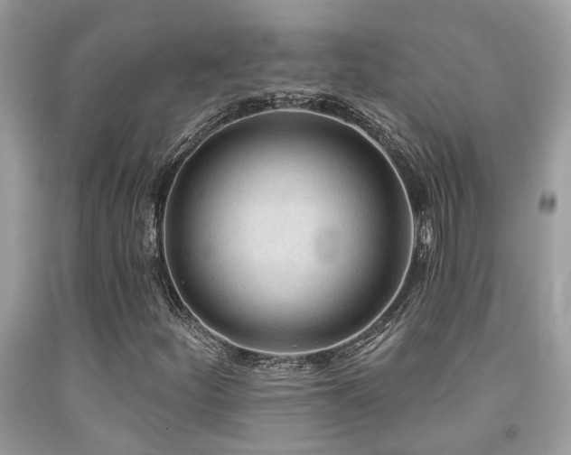X0000092031252200709061607