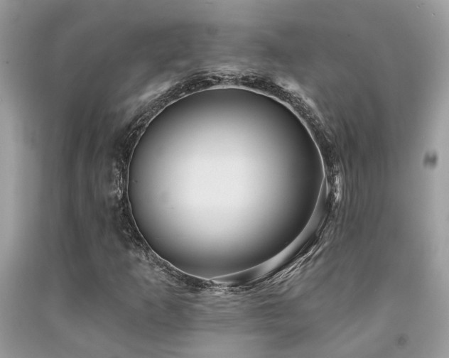 X0000092031253200709061607