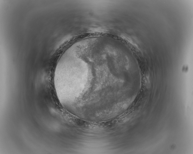 X0000092031254200709061607