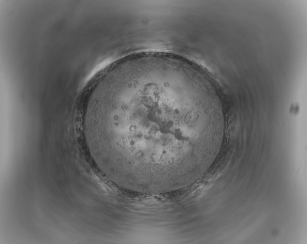 X0000092031255200709061607