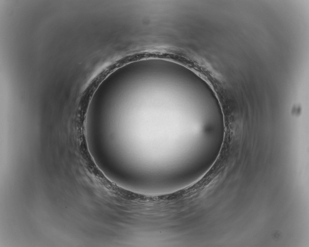 X0000092031256200709061607