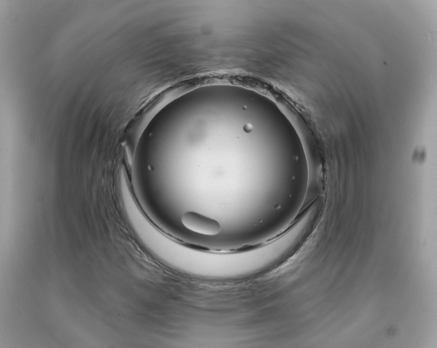 X0000092031257200709061607