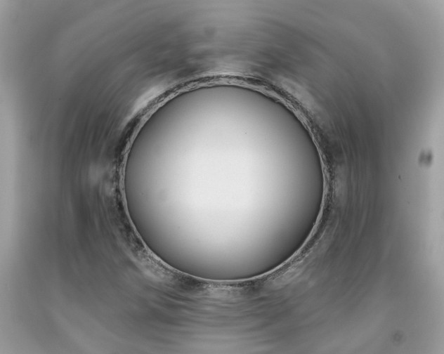 X0000092031258200709061607